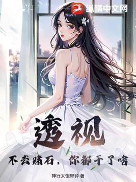 透视赌石类