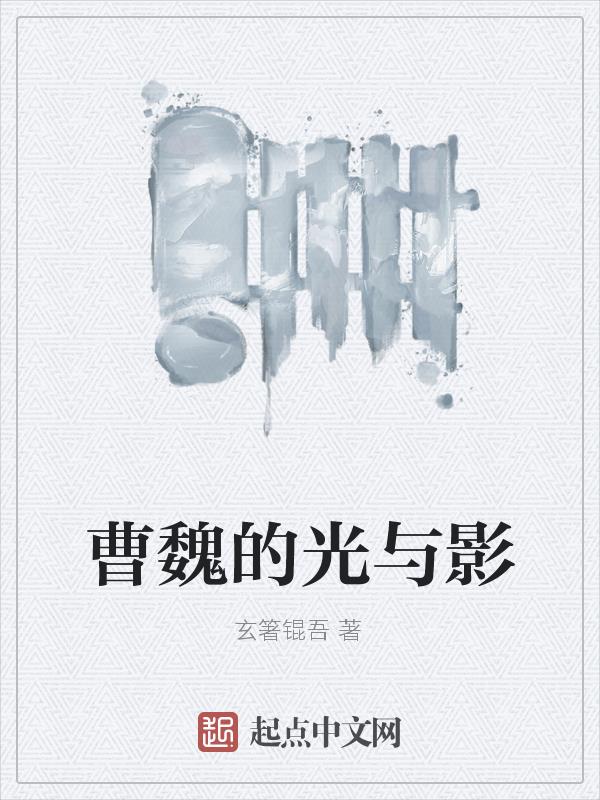 曹魏的首任丞相是谁